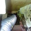 Exterminator Extrraordinaire - Bee hive Removal in Wall void for dryer shaft
